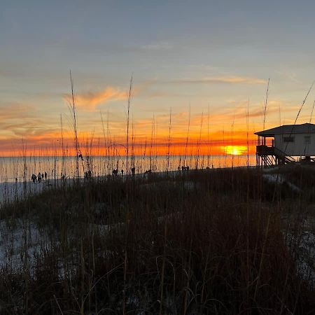 Vila The Birdhouse In Luxury Watercolor Brand New 6 Seat Golf Cart Santa Rosa Beach Exteriér fotografie