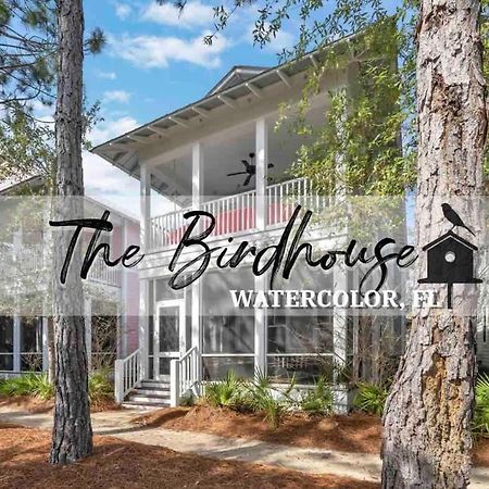 Vila The Birdhouse In Luxury Watercolor Brand New 6 Seat Golf Cart Santa Rosa Beach Exteriér fotografie