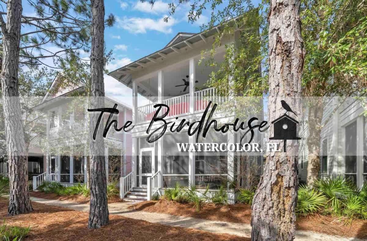 Vila The Birdhouse In Luxury Watercolor Brand New 6 Seat Golf Cart Santa Rosa Beach Exteriér fotografie